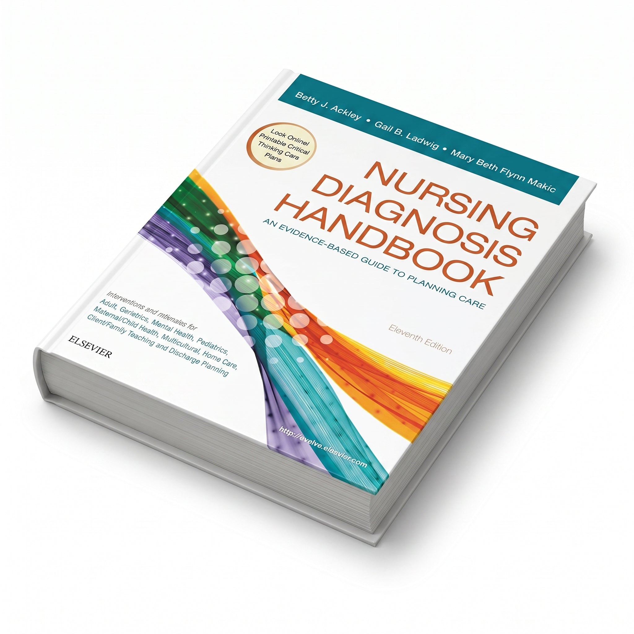 Nursing Diagnosis Handbook: An Evidence-Based Guide to Planning Care, 11th Edition – view 3